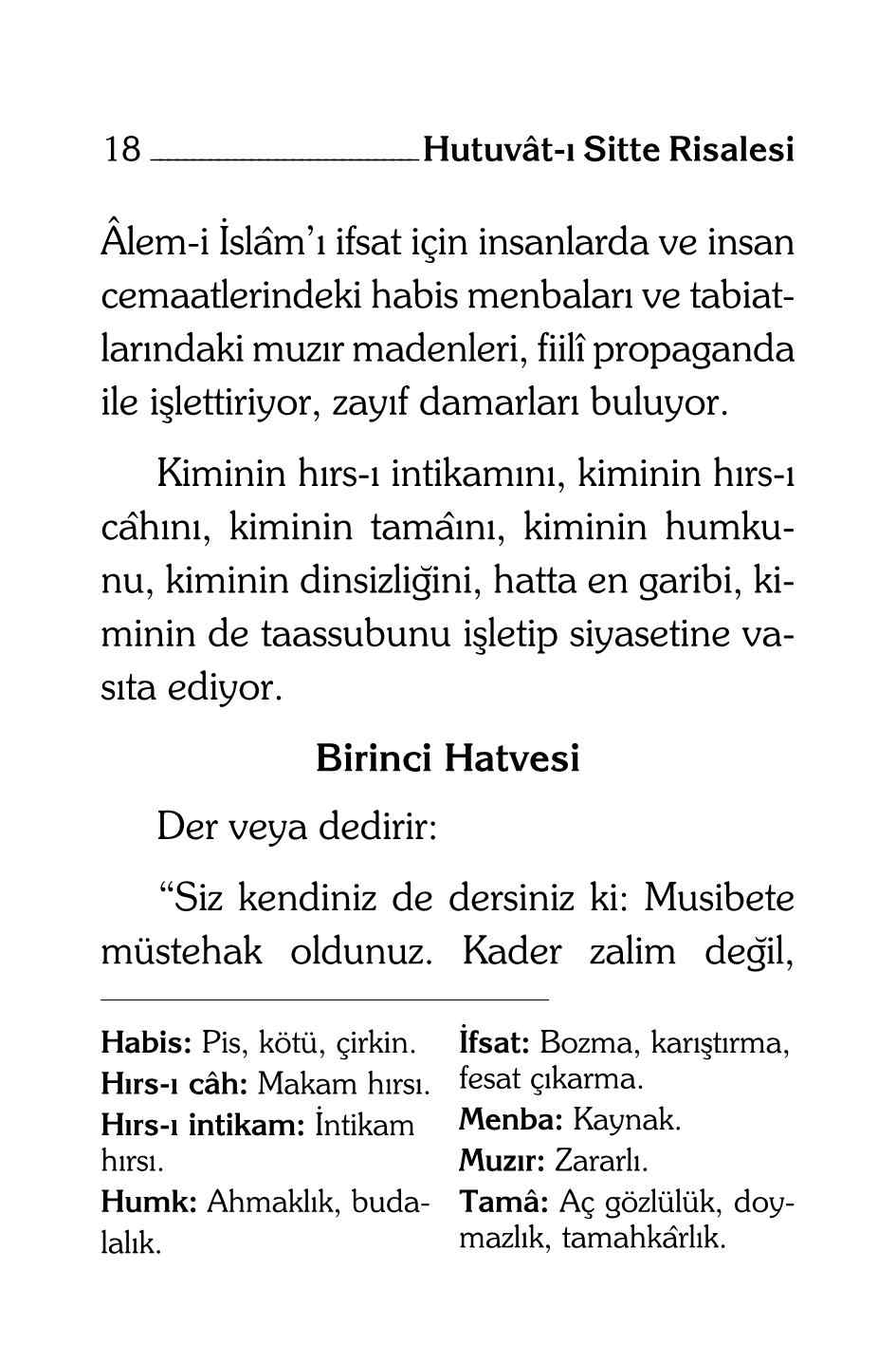 B Said Nursi - Hutuvat-ı Sitte Risalesi (Kelime Aciklamali) - SahdamarY.pdf, 49-Sayfa