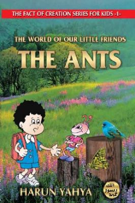 World of our little Friends: The Ants - 2.09 - 42